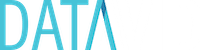datavid logo blue background small