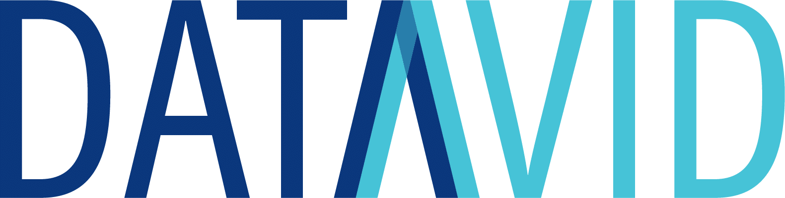 datavid logo large 1