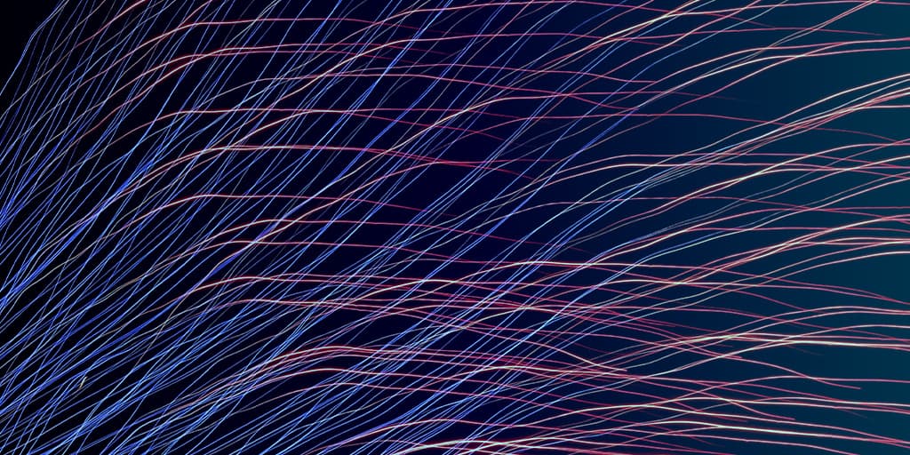we think data curation is cool